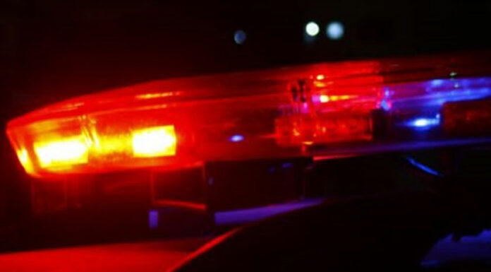 Con dos cabezas humanas arrestan a hombre en Puente de México sirena