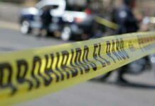 Asesinan al periodista Roberto Toledo en Michoacán Familiares reclamaron al Servicio Médico Forense (Semefo), el cuerpo sin vida de Roberto Rodríguez Cuahutepiczi de 28 años de edad.