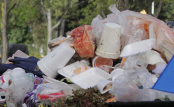 Tienen tiraderos clandestinos casi todos los municipios de Puebla Tiraderos