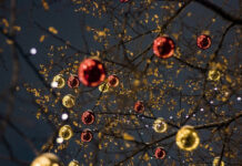 Árbol de Navidad se derrumba en Ucrania árbol de navidad