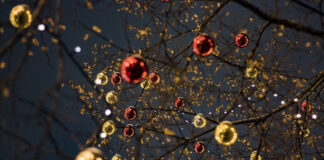 Árbol de Navidad se derrumba en Ucrania árbol de navidad