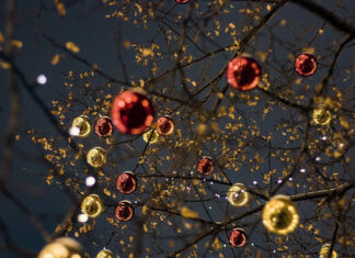 Árbol de Navidad se derrumba en Ucrania árbol de navidad
