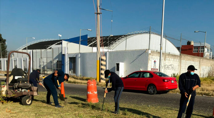 Cadetes se suman a Jornadas de Proximidad cadetes