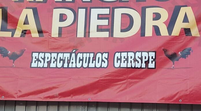 Cierran establecimientos en Cholula por incumplir normas cholula