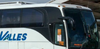 Desaparece Nelly: abordó autobús de Puebla a Huixcolotla Tiene un lunar negro en la cara, del lado derecho y muy cercano a la oreja. Foto: Facebook