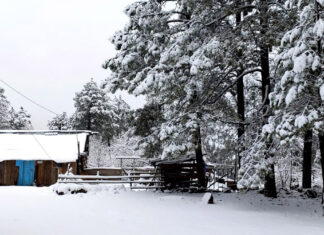 ¡Espectacular! Durango registra primeras nevadas de 2021 Durango nevadas