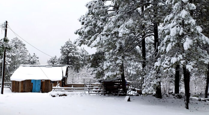 ¡Espectacular! Durango registra primeras nevadas de 2021 Durango nevadas
