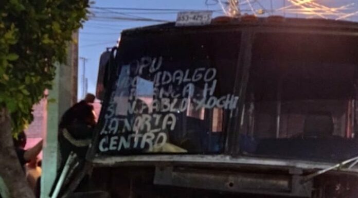 Microbús choca contra un árbol; reportan 12 heridos