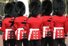 Soldado de la guardia de la Reina Isabel II atropella a niño
