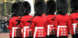 Soldado de la guardia de la Reina Isabel II atropella a niño
