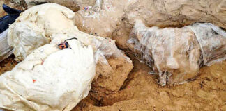 Hallan restos de mamut en panteón de Los Reyes de Juárez Hallaron una defensa ósea casi completa, otra fragmentada, partes del cráneo y de la pelvis. Foto: INAH