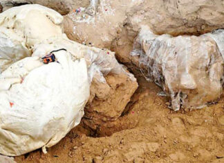 Hallan restos de mamut en panteón de Los Reyes de Juárez Hallaron una defensa ósea casi completa, otra fragmentada, partes del cráneo y de la pelvis. Foto: INAH