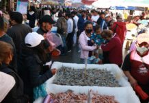 México registra 41 casos de Ómicron en vísperas de Navidad Del total, 30 fueron localizados en la Ciudad de México, ocho en el Estado de México y tres más en Tamaulipas.