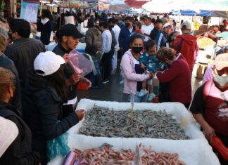 México registra 41 casos de Ómicron en vísperas de Navidad Del total, 30 fueron localizados en la Ciudad de México, ocho en el Estado de México y tres más en Tamaulipas.