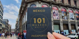 Así funciona el Pasaporte de Museos de la CDMX La vigencia del Pasaporte de Museos es de un año y puede transferirse. Foto: 101 Museos