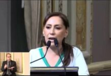 Propone diputada siembra de árboles como requisito de titulación