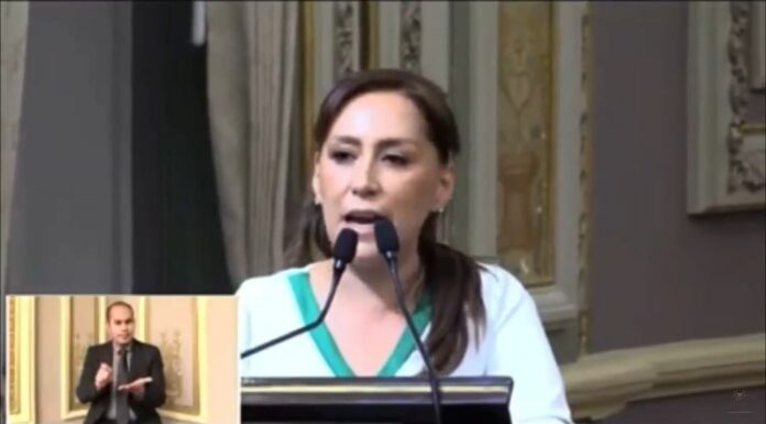 Propone diputada siembra de árboles como requisito de titulación