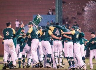 Pericos busca ser el primer campeón de la LIM