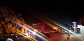 Captura Policía Estatal a presuntos talamontes