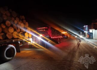 Captura Policía Estatal a presuntos talamontes