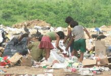 Ley de Economía Circular atenta contra pepenadores y recicladores