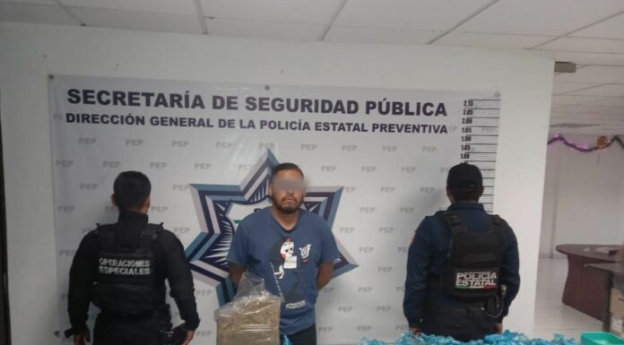 Con siete kilos de aparente marihuana, Policía Estatal detiene a un hombre