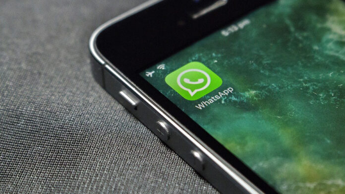 Whatsapp El Bronco