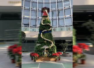 Navidad en el Senado… ¿con Quetzalcóatl y penachos? arbol senado