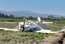 ¡Vaya susto! Cae avioneta en campos de Tehuacán avioneta