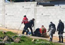 Muere presidente auxiliar de Jicolapa tras ser baleado balean
