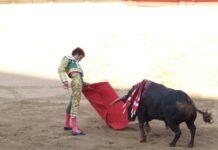 Aprueban diputados de CDMX prohibir corridas de toros