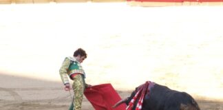 Aprueban diputados de CDMX prohibir corridas de toros