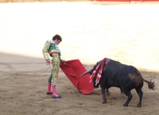 Aprueban diputados de CDMX prohibir corridas de toros