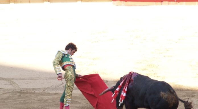 Aprueban diputados de CDMX prohibir corridas de toros