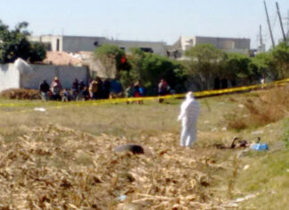 ¡Crisis forense en México! Hay 52 mil cuerpos sin identificar “Tenemos 5 centros de resguardo temporal, con lo que estamos enfrenando de manera muy firme la crisis forense", comentó Alejandro Encinas