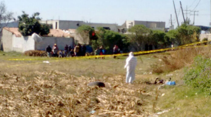 ¡Crisis forense en México! Hay 52 mil cuerpos sin identificar “Tenemos 5 centros de resguardo temporal, con lo que estamos enfrenando de manera muy firme la crisis forense", comentó Alejandro Encinas