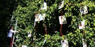 Familias de desaparecidos colocan Árbol de la Esperanza desaparecidos