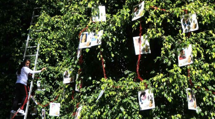 Familias de desaparecidos colocan Árbol de la Esperanza desaparecidos
