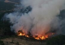 Se incendia basurero en Oaxaca incendios