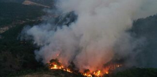 Se incendia basurero en Oaxaca incendios