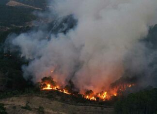 Se incendia basurero en Oaxaca incendios