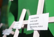 Suman 28 menores asesinados en 2021; 4 fueron feminicidios Marzo, octubre y noviembre fueron los meses más violentos para los menores
