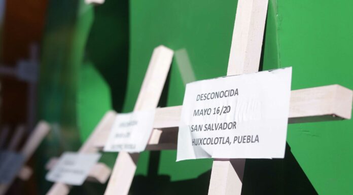Suman 28 menores asesinados en 2021; 4 fueron feminicidios Marzo, octubre y noviembre fueron los meses más violentos para los menores
