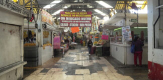 Mercado Amalucan tendrá inversión de 9 mdp Este recurso se aplicará en función del acuerdo que logren con los tres grupos de comerciantes del mercado Amalucan.