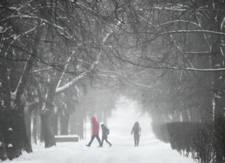 ¡Asombroso! 2 metros de nieve cubren Japón