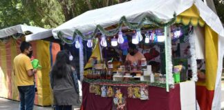 Hasta 500 ambulantes habrá en Paseo Bravo el 12 de diciembre Paseo