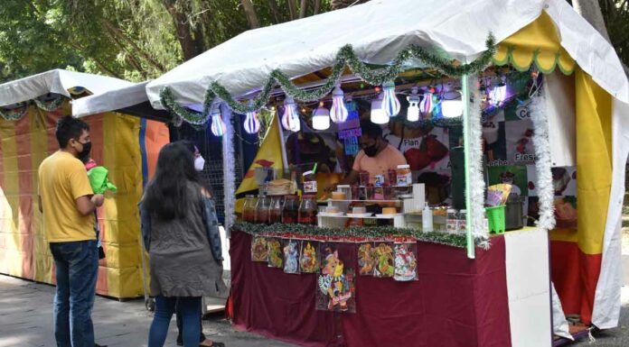 Hasta 500 ambulantes habrá en Paseo Bravo el 12 de diciembre Paseo