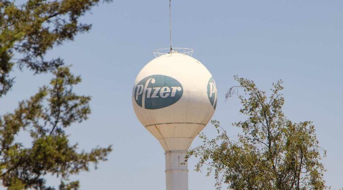 Píldora anti covid de Pfizer, autorizada en EU píldora