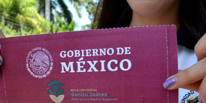 plazo El plazo vencía el 15 de diciembre.