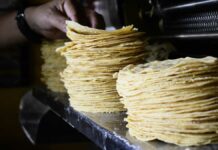 ¡Aguas! Tortilleros bajan calidad para vender barato Tortilla